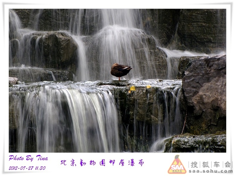 北京动物园那座瀑布_挑战视觉