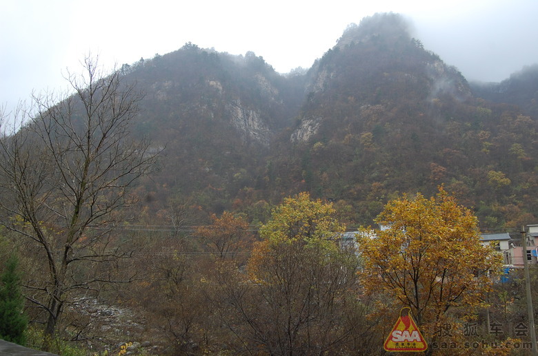Img2845491_780.JPG