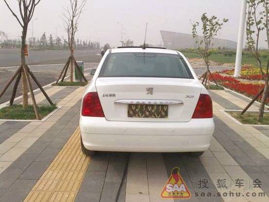 我的狮子到家已经三年了