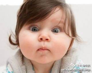 转给为人父母者-德国为何立法禁止学前教育?