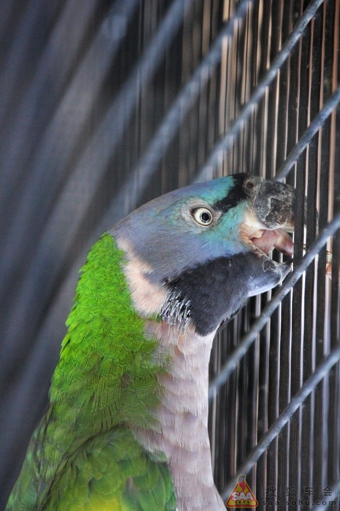 Img5145295_780.JPG