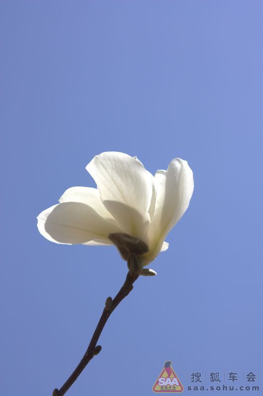 Img7443699_780.jpg
