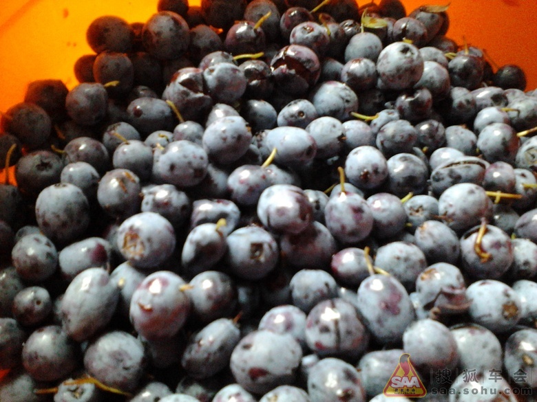 Img8365499_780.jpg