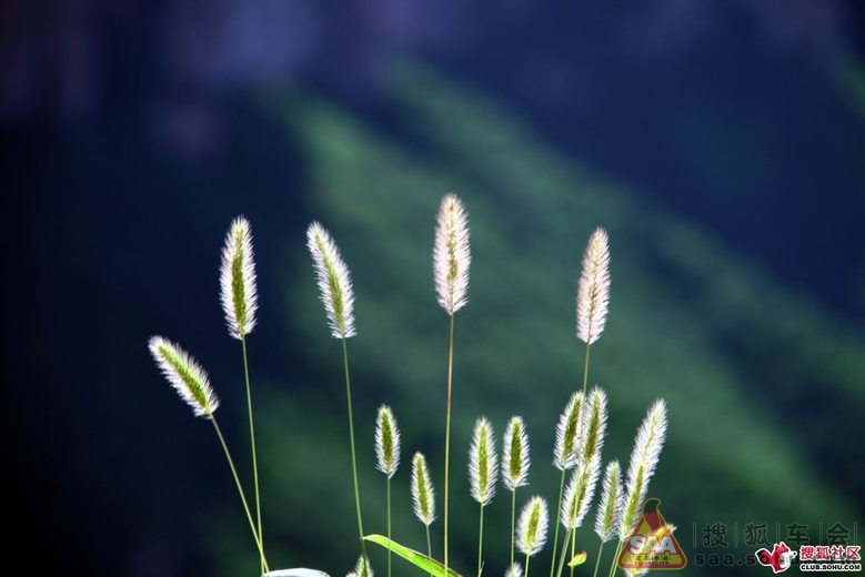 从哪里出发--邯郸游】