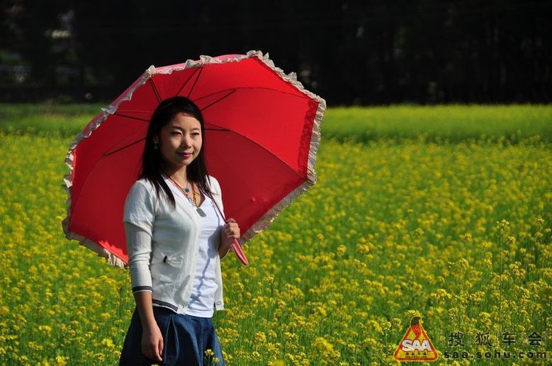 关关雎鸠,在河之洲,窈窕淑女,君子好逑