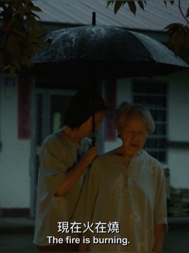 猫与鸡