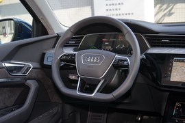  2019款奥迪e-tron 55 quattro 技术型