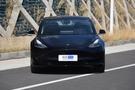   2019款特斯拉Model 3 标准续航后驱升级版
