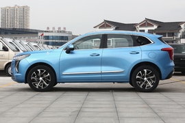   2021款 哈弗初恋 1.5T 自动大四版