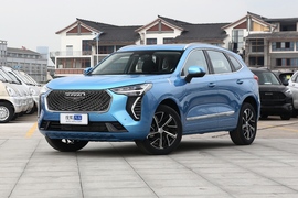   2021款 哈弗初恋 1.5T 自动大四版