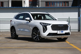   2021款 哈弗初恋 1.5T 自动大三版
