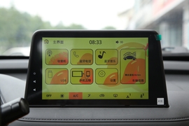   2022款雷丁芒果 220经典版