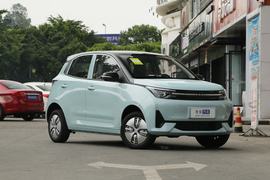   2022款雷丁芒果 220经典版