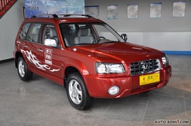   2010款野马汽车F99
