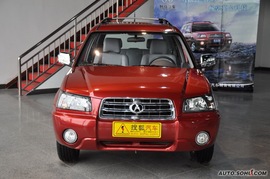   2010款野马汽车F99