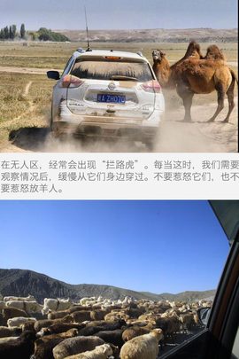   东风日产新奇骏勇闯无人区Ⅲ