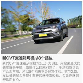   动态