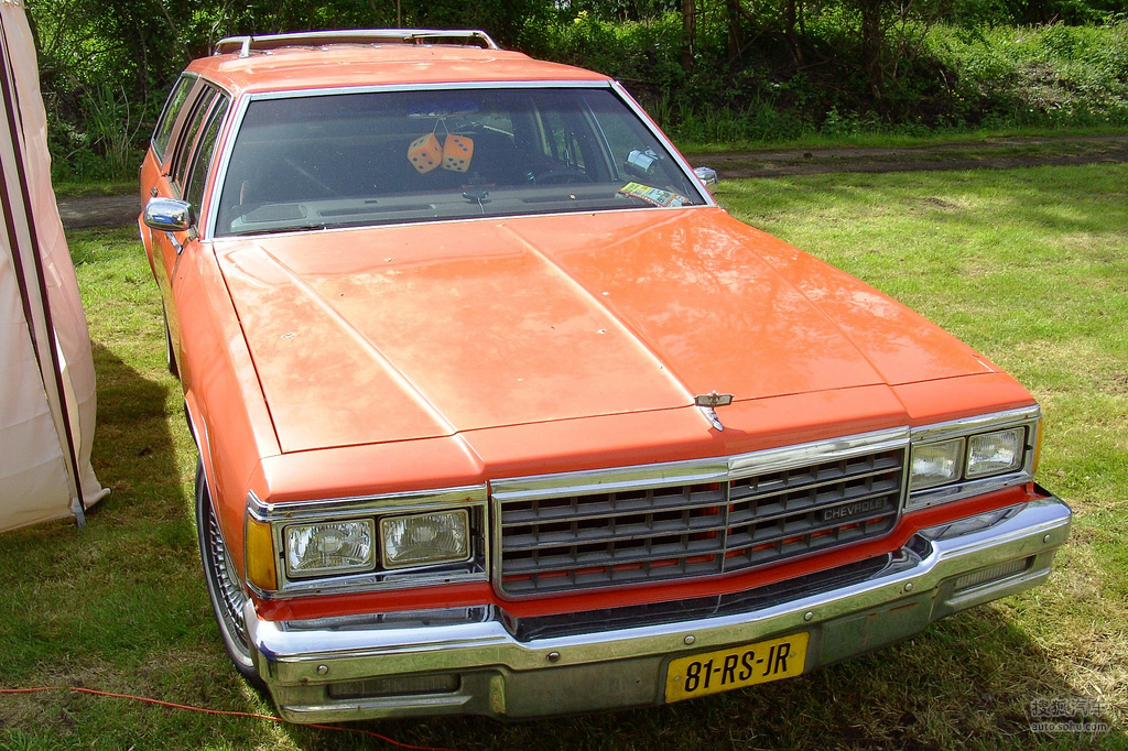 1976年款雪佛兰caprice返回图片列表下载大图返回标清模式